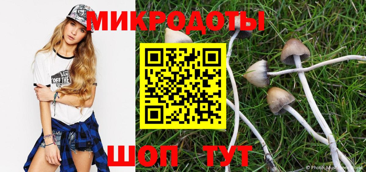 где можно купить   Вход с VPN  Галлюциногенные грибы Cubensis  Саянск  Псилоцибиновые грибы мицелий 